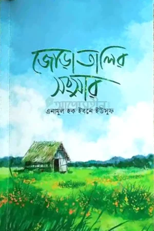 জোড়াতালির সংসার