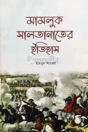 মামলুক সালতানাতের ইতিহাস
